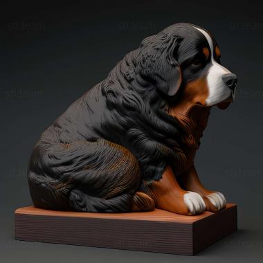 3D model Bernese Mountain dog (STL)